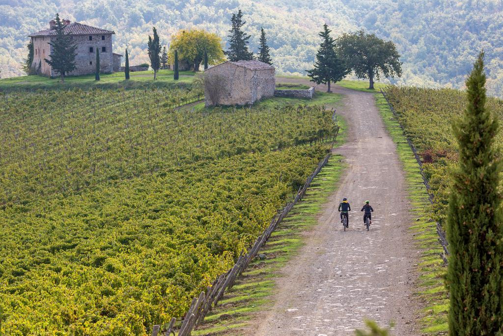 Villa Di Capovento Castellina in Chianti Ngoại thất bức ảnh